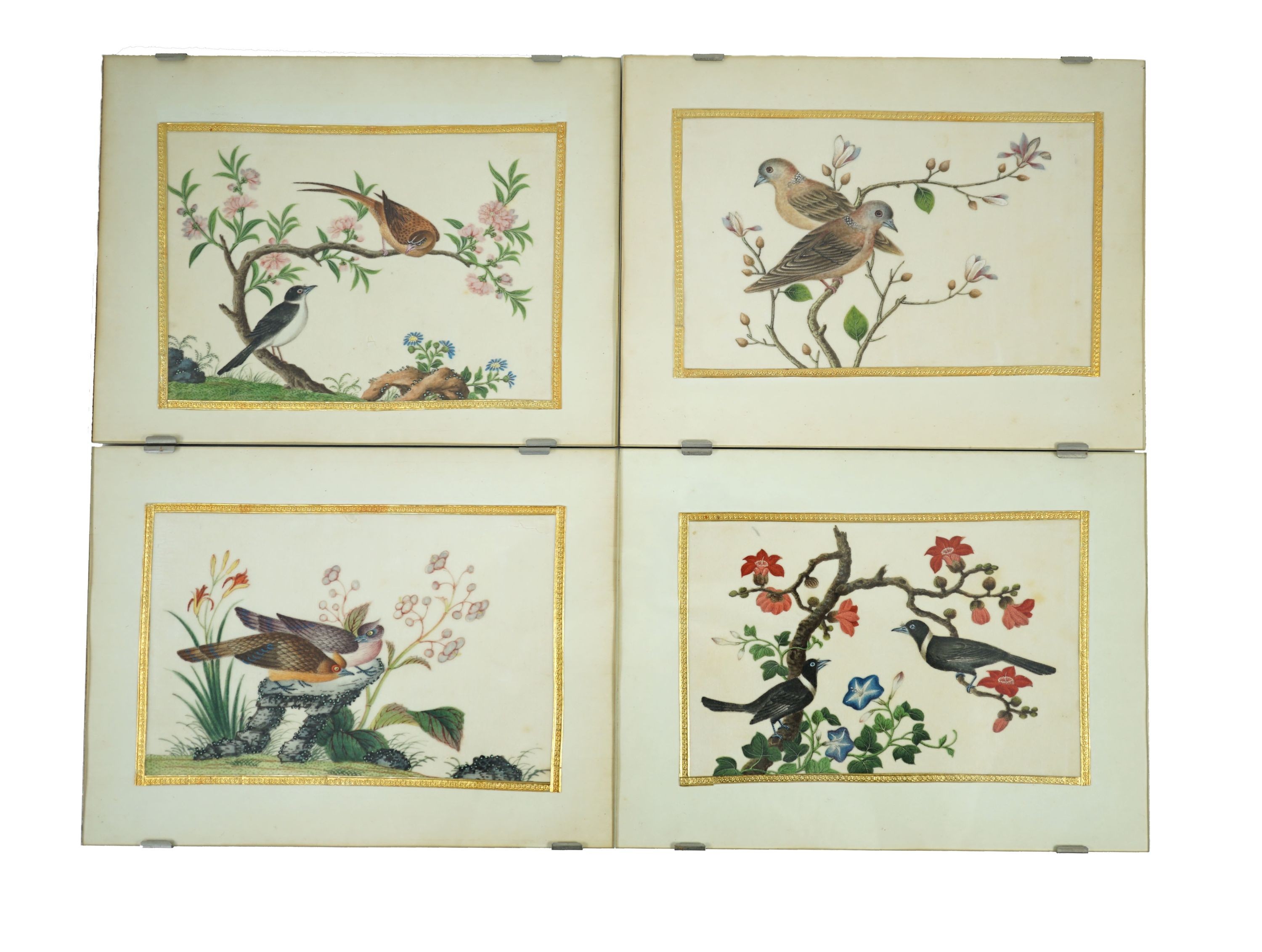 A set of 16 Chinese pith paintings of birds and flowers, mid 19th century, Largest Image 12cm x 18cm